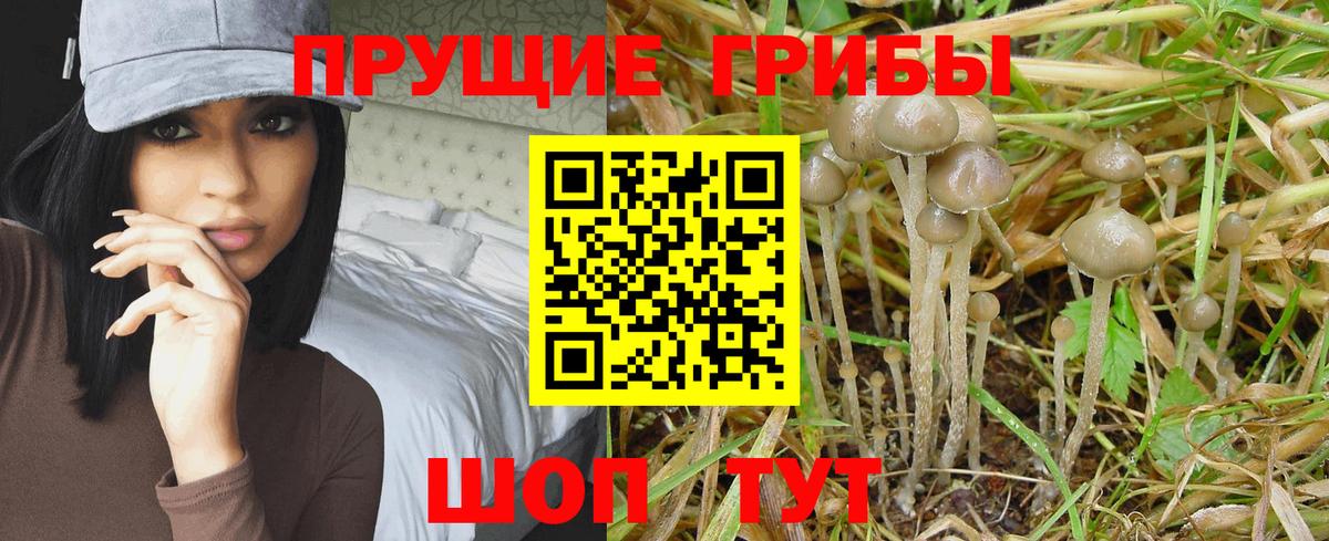 Псилоцибиновые грибы прущие грибы Дзержинск