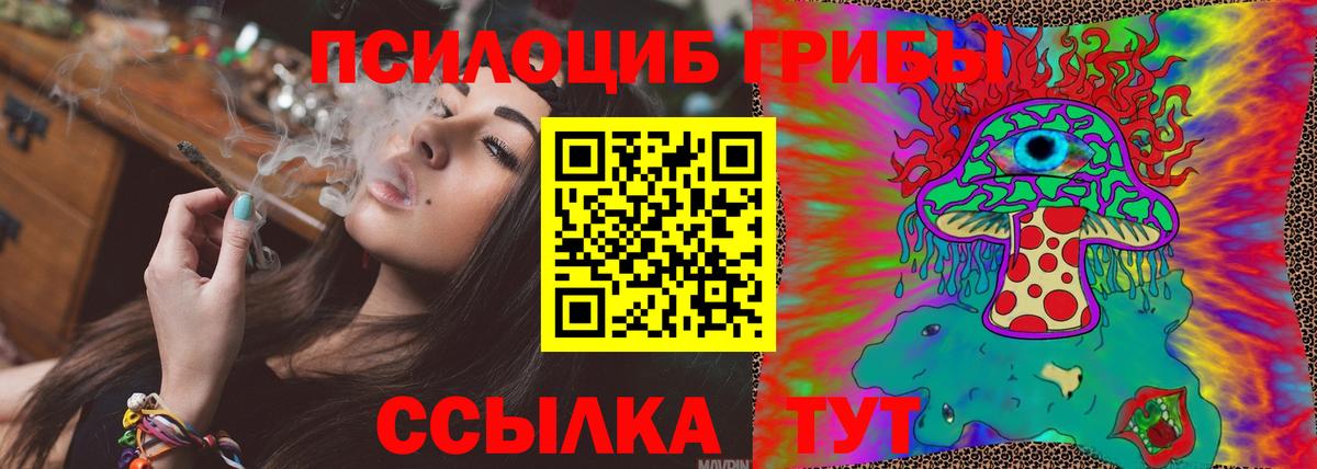 Дзержинск  Галлюциногенные грибы прущие грибы  Вход с VPN 